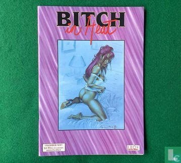 Bitch in Heat 6 - 1998, Livres, BD | Comics, Verzenden, Casotto, Giovanna.