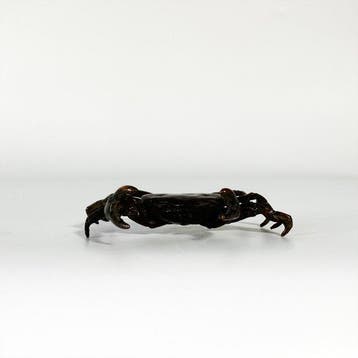 Two Bronze Crab Okimono () - sculptuur Brons - Japan