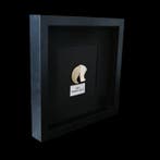 Tiger Claw - Encadré - avec certificat de commerce UE, Nieuw