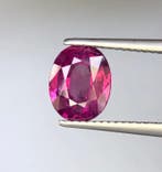 1 pcs Rouge, Violet Rubis - 2.66 ct - Gemological Institute, Handtassen en Accessoires, Edelstenen, Nieuw