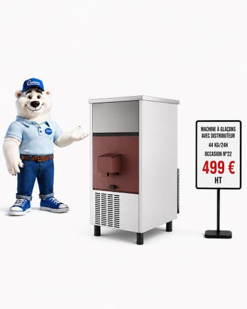 Machine à glaçons avec distributeur intégré d’occasion - 44