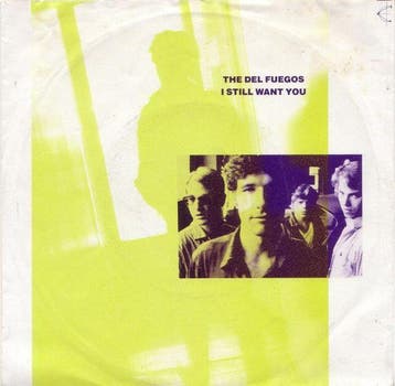The Del Fuegos - I Still Want You, Verzenden, Gebruikt