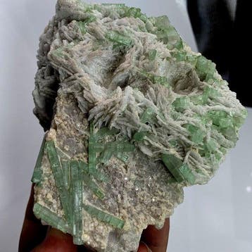452 gram schitterende toermalijn met albiet-matrix –, Verzamelen