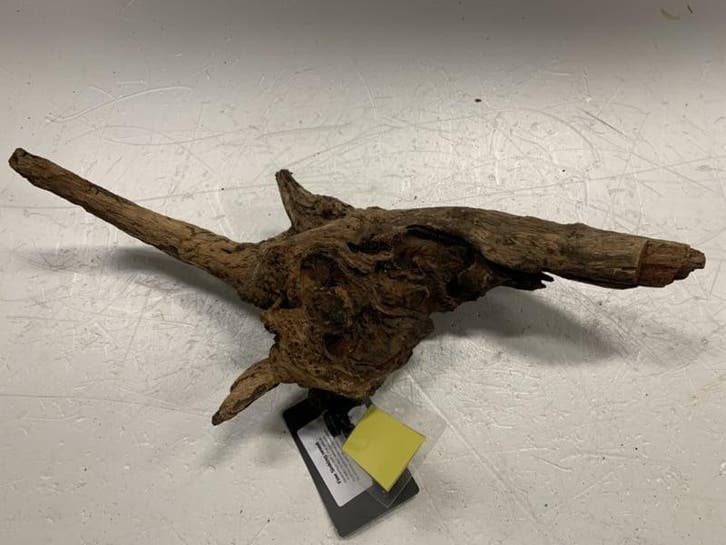 Fine Sinking Wood Selected  FS102 - 42x16x11cm, Animaux & Accessoires, Poissons | Aquariums & Accessoires, Enlèvement ou Envoi