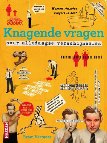Knagende vragen over alledaagse verschijnselen 9789046806357, Verzenden, Bram Vermeer