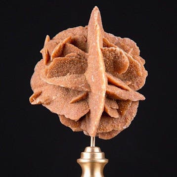 Cabinet de Curiosités - Cristaux de Rose du Désert - Base en