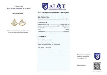 Zonder minimumprijs - Oorbellen Zilver - Garnet -