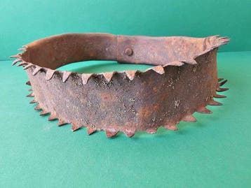Wolf-proof dog collar - Outil de travail