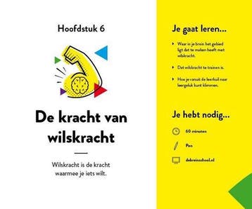 Leergeluk 9789090315058 Heidi Van der Westerlaken, Boeken, Verzenden, Zo goed als nieuw, Heidi Van der Westerlaken