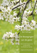 De Bewegingen van de geest 9789492331656 Bert Hellinger, Boeken, Verzenden, Gelezen, Bert Hellinger