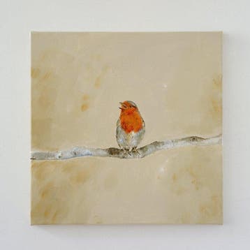 Matthieu van Riel - Roodborstje