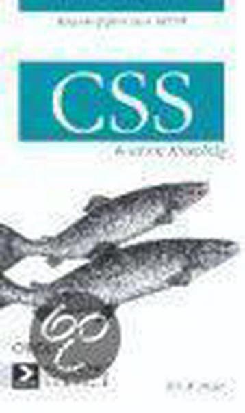 CSS / Kort en krachtig 9789039519691 E.A. Meyer, Verzenden, Gelezen, E.A. Meyer