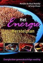 Het energie herstelplan 9789063787691 T. Visser, Verzenden, T. Visser