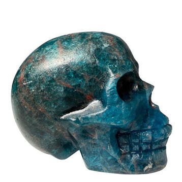 Skull en apatiet - premium Gravure - Hoogte: 50 mm -