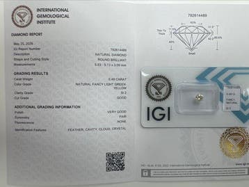 1 pcs Diamant (Couleur naturelle) - 0.49 ct - Rond - Fancy, Nieuw