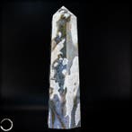 Agate mousse naturelle de très haute qualité et très