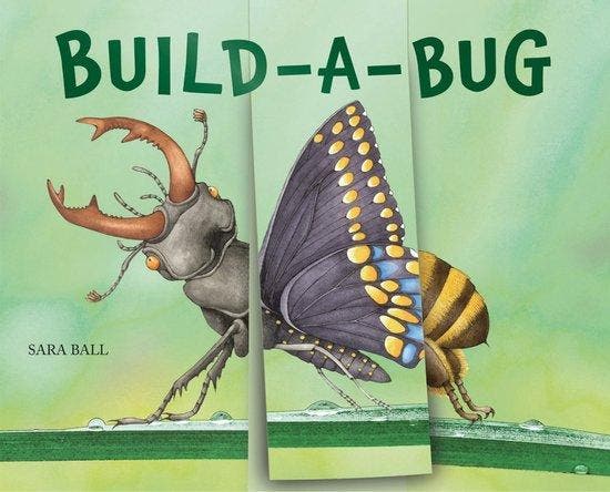Build-a-Bug 9780789214287 Sara Ball, Livres, Langue | Anglais, Envoi