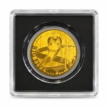 Tsjaad. 5000 Francs 1/200 oz 999 Fine Gold 5000 CFA Francs