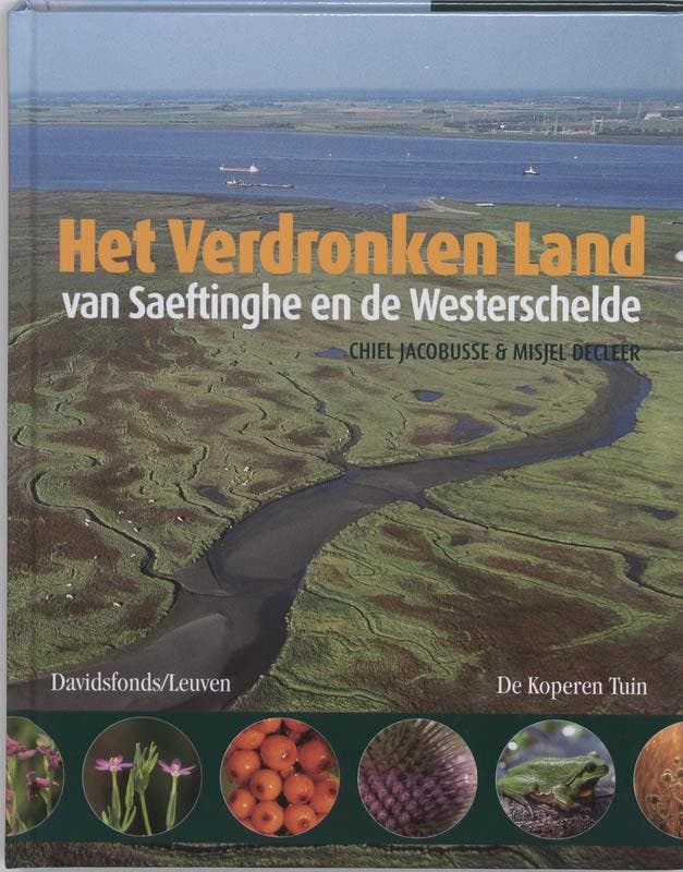 Verdronken land van Saeftinghe, Het 9789080799516, Boeken, Hobby en Vrije tijd, Zo goed als nieuw, Verzenden
