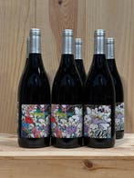 2020 Clos Saint-Fiacre Orleans-Clery - IGP Val de Loire - 6