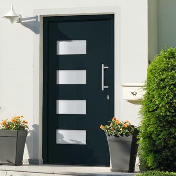 vidaXL Voordeur 110x210 cm aluminium en PVC antraciet, Verzenden