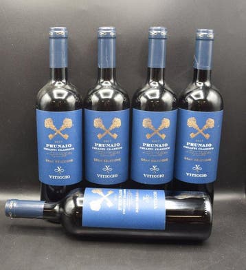 2017 Viticcio, Prunaio Gran Selezione - Chianti Classico, Nieuw