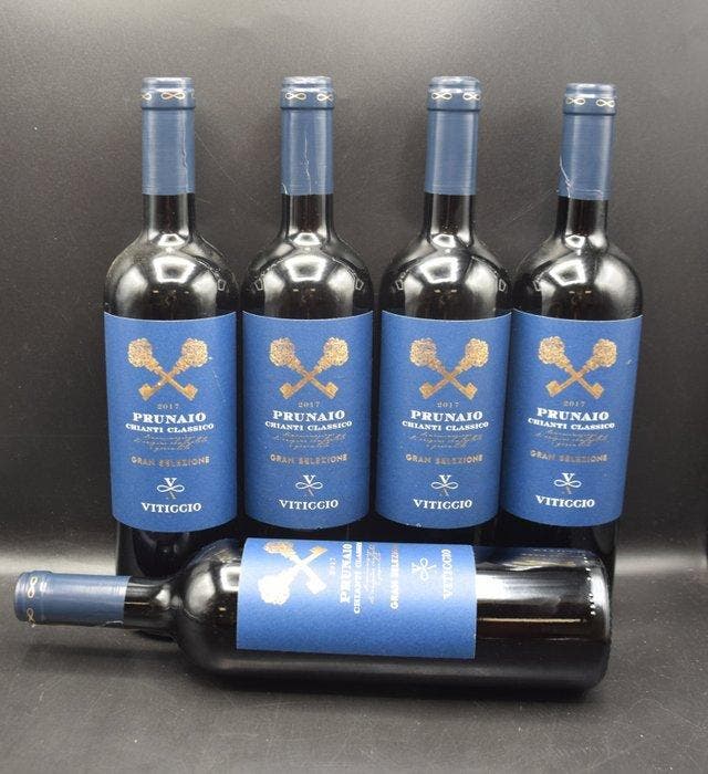 2017 Viticcio, Prunaio Gran Selezione - Chianti Classico, Verzamelen, Wijnen