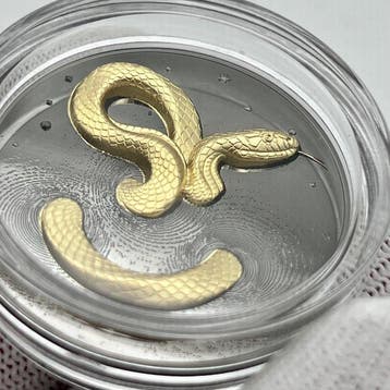 Kameroen. 2000 Francs 2024 Cameroon – Herpeton Snake – 1 oz, Postzegels en Munten, Munten | Europa | Niet-Euromunten