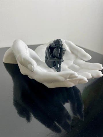 serena grassetti - Safeguard