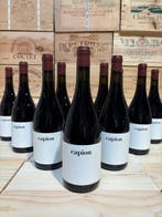 2022 Domaine CAPION - Languedoc - 12 Fles (0,75 liter)