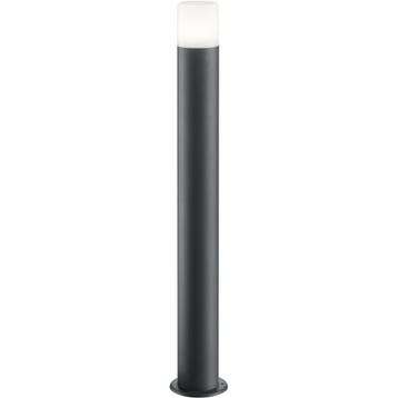 LED Tuinverlichting - Staand Buitenlamp - Trion Hosina XL -, Verzenden, Nieuw
