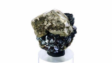 Pyrite sur lhématite - Rio Marina, Île dElbe, Toscane,
