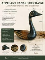 Lokeend - Appelant canard chasse - Hout