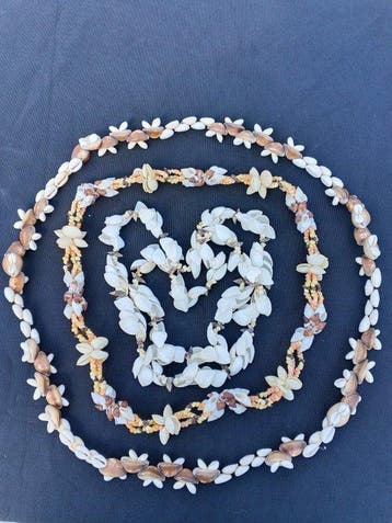 Jacobsschelp Koraal - Cypraeidae & Various Marine Shells