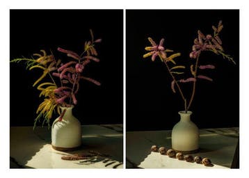 Elena Paraskeva - Sol et Umbra – Tamarix & Snails Diptych