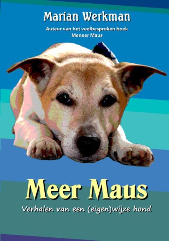 Meer Maus 9789085705611 Marian Werkman, Livres, Loisirs & Temps libre, Envoi