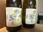 2022 Chantereves, Aligote Mainbey - Bourgogne - 2 Bouteilles, Collections, Vins