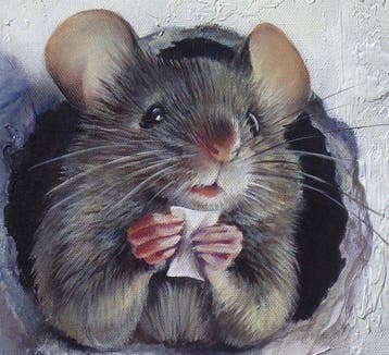 Gala - Mouse painting ~ Love note ~