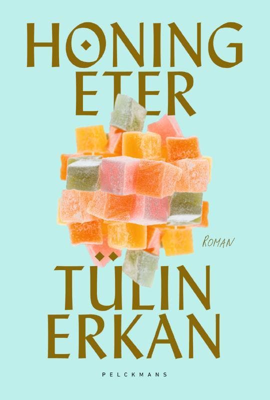 Honingeter 9789463105781 Tülin Erkan, Boeken, Romans, Zo goed als nieuw, Verzenden
