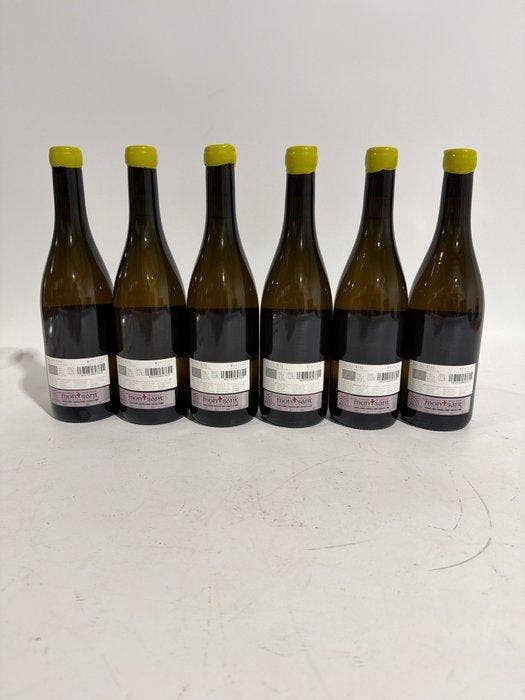 2023 Dido Blanco - Montsant - 6 Flessen (0.75 liter), Verzamelen, Wijnen