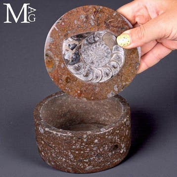Ronde sieradendoos - fossiele matrix met ammoniet en