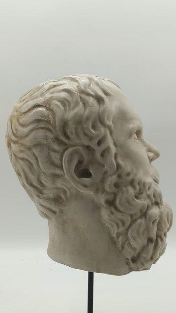 sculptuur, Testa del filosofo Socrate - 39 cm - marmerpoeder