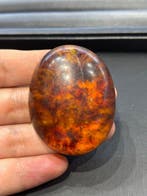 Hanger Baltisch amber 18,3 g - Barnsteen - Baltic amber -