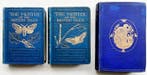 Richard South / E.F. Staveley - The Moths of The British