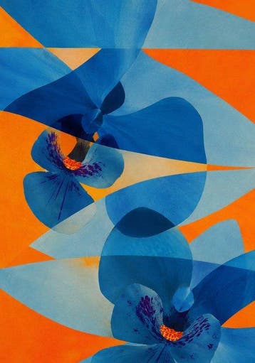 Xandro Peña - Blue orchids - XL