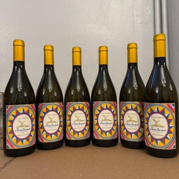 2022 Donnafugata e Dolce&Gabbana, Isolano Etna Bianco -, Nieuw