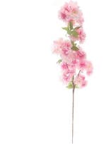 Bloesem Tak Lichtroze Zijdenbloem 104 cm, Nieuw