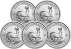 5 Troy Ounce - Zilver .999 - Krugerrand 2026 - 155,5 gram -