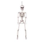 Halloween Pop Skelet Beweegbaar 60cm, Verzenden, Nieuw