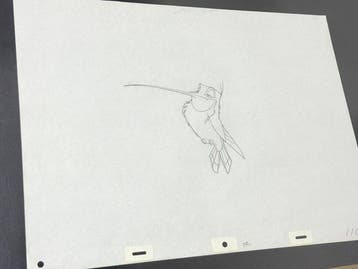 Walt Disney - Flit-animatietekening - Pocahontas (1995), Collections